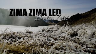 Dražen Zečić  Zima zima led Official lyric video [upl. by Erlewine]