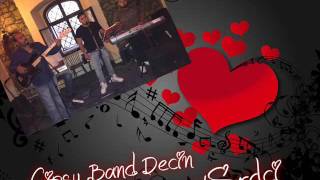 Gipsy Band Decin  V SRDCI NEW Vlastni tvorba [upl. by Sinnylg]