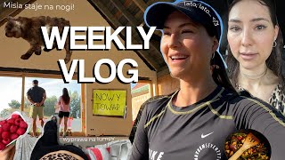 WEEKLY VLOG ☀️  postępy na budowie  na lumpy w Gdyni  testy napojów zero  wracam do biegania [upl. by Duffy]