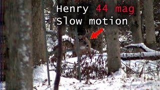 Henry 44 Magnum Hits HARD Deer Hunting Iowa [upl. by Adrian199]