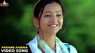 Kotha Bangaru Lokam Songs  Padame Aagina Video Song  Varun Sandesh Swetha Basu  Sri Balaji Video [upl. by Arobed]