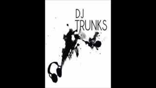 DJ Trunks Ft Danna Paola  Aguita Remix 2014 [upl. by China]