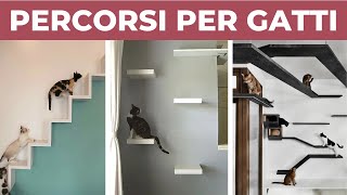 PERCORSI PER GATTI da parete fai da te  DIY [upl. by Deehsar]