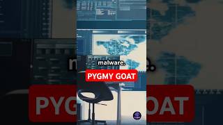 Sophos Firewall Hack Unmasking the Pygmy Goat Malware cybersecurity firewall [upl. by Gerbold]