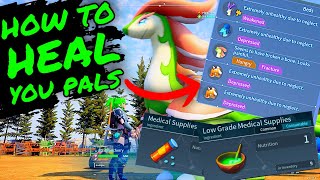 How To HEAL And CURE YOUR PALS IN PALWORLD How To Make Them WORK FASTER Palworld Tips and Tricks [upl. by Lebasy]