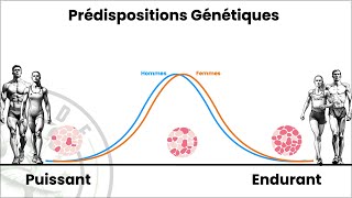 Comment ton profil énergétique influence ta durabilité en endurance [upl. by Hertzog]