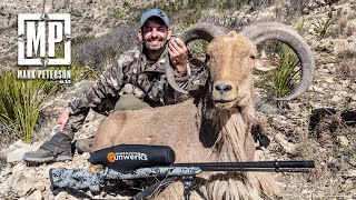 TX Aoudad Hunt Sheep Week 2022  Mark Peterson Hunting [upl. by Analah]