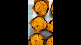 MUFFIN ZUCCA e CIOCCOLATO soffici è dir poco😍 Shorts [upl. by Onitnas]