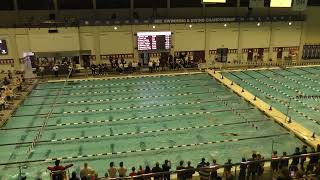 Mens 50 Free Final Heat 1 [upl. by Idleman]