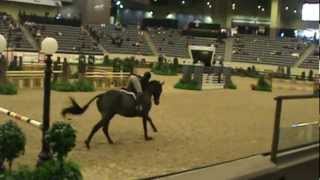 Falls Refusals and knock downs at the 2011 Maclay Finals [upl. by Killarney80]