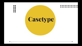 What is a CaseType [upl. by Teerpnam]