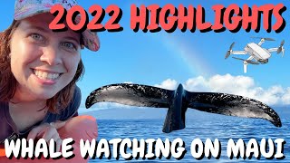 Whale Watching Maui 2022 Cinematic Drone Video amp Captain Steves Maui Whale Watching Tours [upl. by Oguh922]