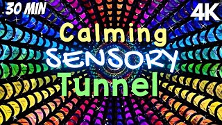 Autism Calming Music Engaging Light Tunnel [upl. by Junius]