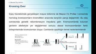 TEMEL VETERİNER GENETİK  Ünite 4 Özet [upl. by Anahsak647]