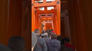 京都の伏見稲荷神社初詣／Fushimi Inari Shrine in Kyoto [upl. by Gatian27]