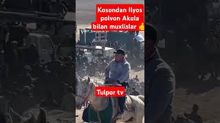 Kosondan Ilyos polvon Akula bilan doʻstim dizel fazzl [upl. by Yhtir]