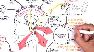 Pharmacology  Antiemetics [upl. by Nerdna247]