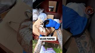 Employees tried breaking everything dumpsterdiving short shorts free usa [upl. by Nagiam349]