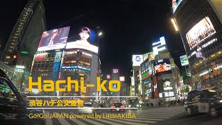 【Invehicle video】Night Drive Through Harajuku Shibuya and Shinjuku [upl. by Runstadler]