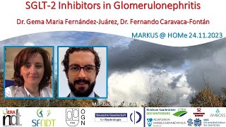 SGLT2 Inhibitors in Glomerulonephrits  Dr Gema FernándezJuárez Dr Fernando Caravaca Fontán [upl. by Edelman]