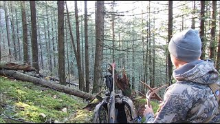 Blacktail Deer Hunting BC  Quest for the quotGrey Ghostquot [upl. by Tterb]