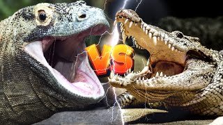 DRAGÃO de KOMODO vs CROCODILO   DESCUBRA quem VENCE [upl. by Eniamrej]