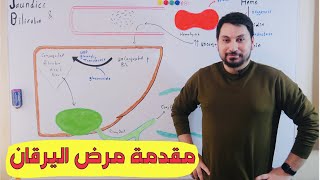 Bilirubin Metabolism القصة الكاملة تكسر الهيم والبليروبين [upl. by Mccallum]