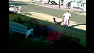 Dog attack caught on tape [upl. by Aruon]