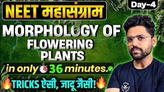 NEET महासंग्राम🔥 MORPHOLOGY OF FLOWERING PLANTS  Neet 2024 [upl. by Carling]