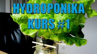 Hydroponika Kurs 1 Dlaczego uprawa w wodzie [upl. by Ridglee]