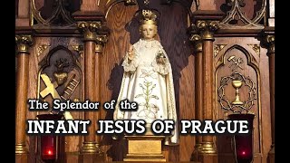 The Splendor of the Infant Jesus of Prague [upl. by Yerffej860]