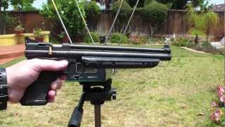 Crosman 1322 Chony Test [upl. by Eilla135]