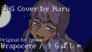 Urapocere  うらぽしゃ  Iyowa Arranged English Cover [upl. by Rehpotsyrhc]