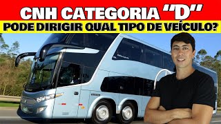 CNH Categoria D  Quais veículos pode dirigir VANS ÔNIBUS ARTICULADOS [upl. by Elora226]