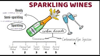 Sparkling wine Basic concept and types sparkling wine making methods champagne vs sparkling wines [upl. by Thinia144]