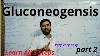 Gluconeogenesis  Steps  Enzymes  Definition  Process  part 2 [upl. by Cynde]