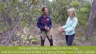 Shire of Mundaring  Dieback [upl. by Jp]