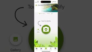 PlantNet app  how to use [upl. by Nojed]