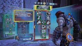 INVINCIBLE HELLBORN KRIEG BUILD  2019 Ultra HD Texture Pack Update  Borderlands 2 [upl. by Eixid]