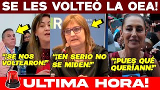 🚨MARTES NEGRO ACABA DE PASAR EN OEA SE LES VOLTEAN A JUECES FRACASO ÉPICO DE LAYNEZ SE LES DIJO [upl. by Dorthy]