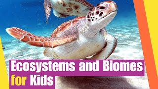 Ecosystems and Biomes for Kids  Earth Science Lesson  Lesson Boosters Science Vdieo [upl. by Greyson916]