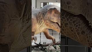 Dinosaur Park Patan Gujarat Unnamed Road Samalpati Gujarat 384265 [upl. by Adnahsal330]