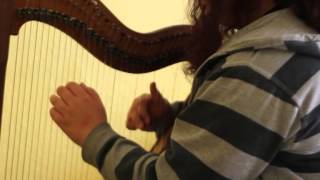 Disenchanted  My Chemical Romance Harp Cover [upl. by Aitnecserc]