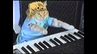 Piano Cat plays Giornos Theme [upl. by Ettelrac305]