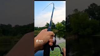 Little Boat  BIG BASS PART 5 kinyonoutdoors fishing bassfishing jonboat [upl. by Hau261]