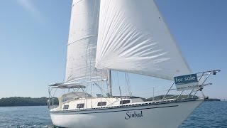 Phantom 32 Cruising Yacht  Walkthrough [upl. by Say575]