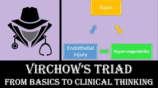 Virchow’s Triad  From Basics to Clinical [upl. by Enelcaj]