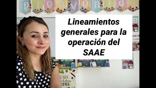 Lineamientos generales para la operación del SAAE en educación básica [upl. by Eissac972]