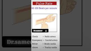 Pulse Rate Beats per minute 🧑🏻‍⚕️ shorts [upl. by Ydnes]