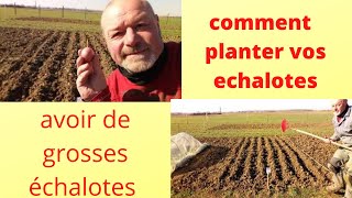 Comment planter vos échalotes [upl. by Suedaht]